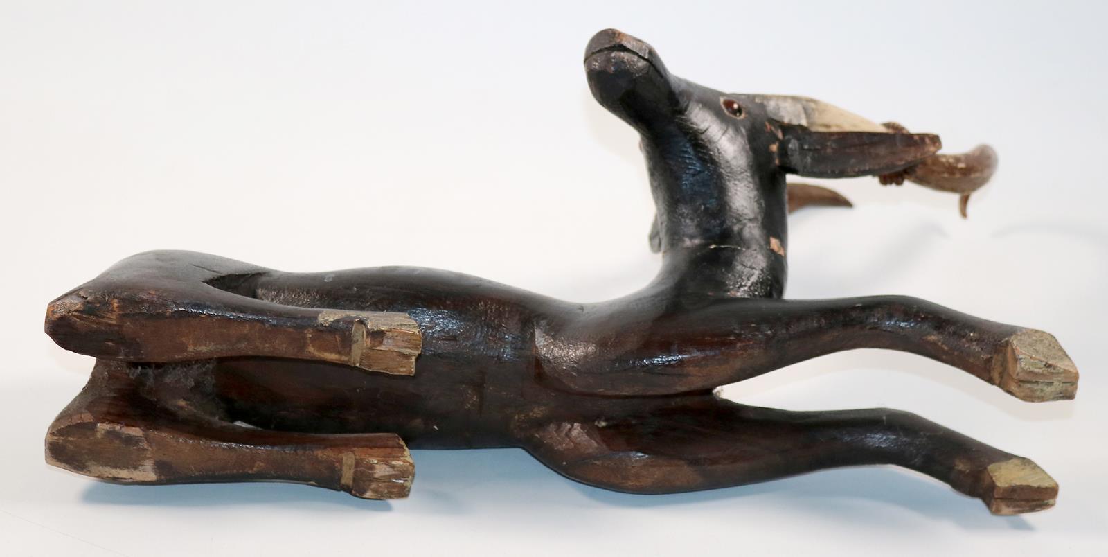 Hirsch muntjak | Bild Nr.4