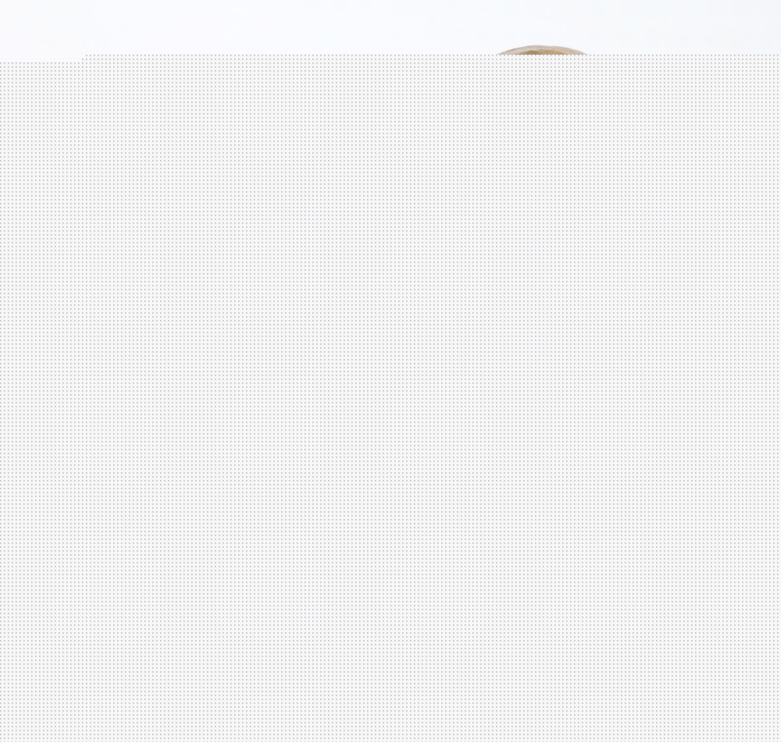 Bronze Portraitköpfe | Bild Nr.1