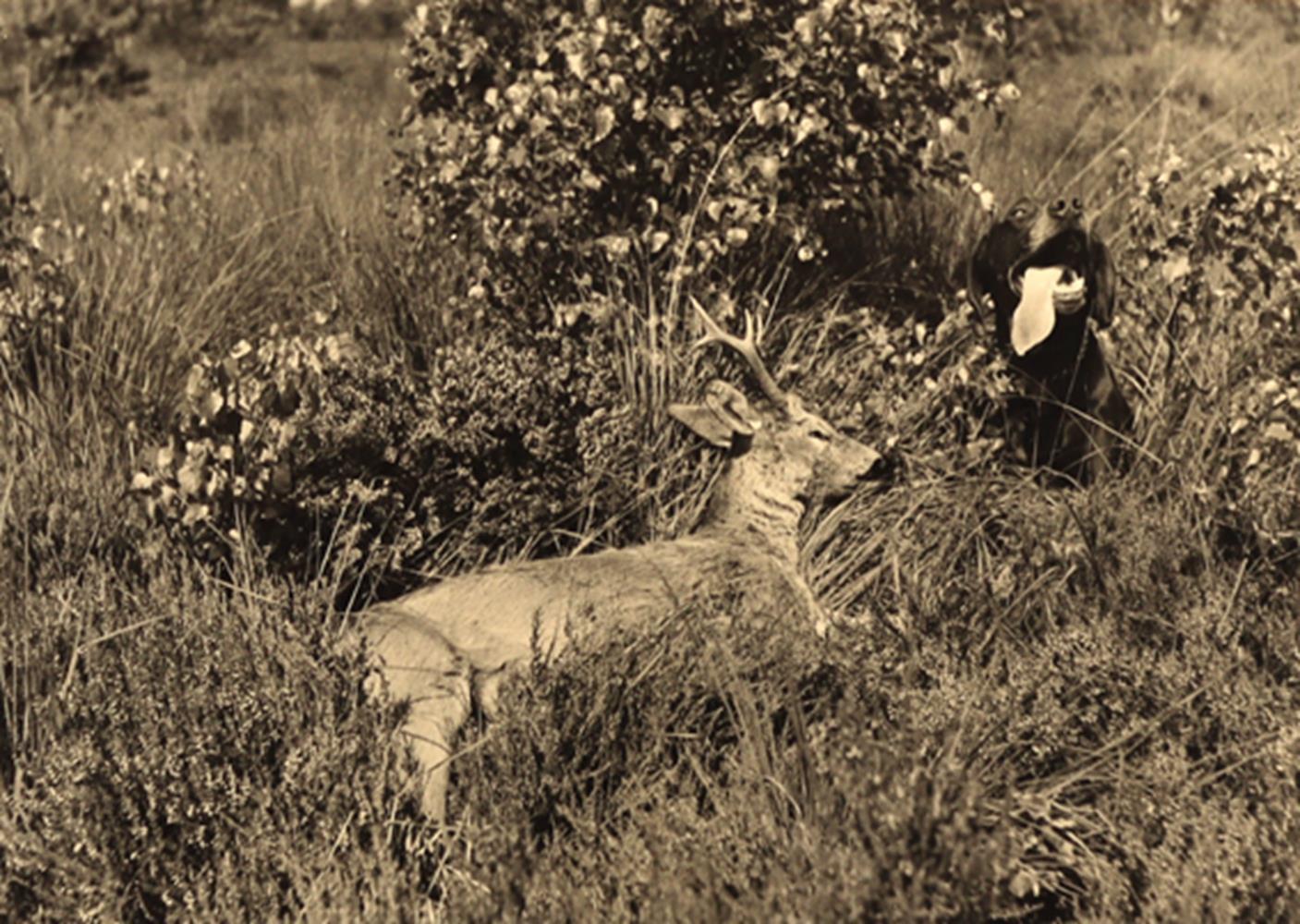 Rudolphi, Hans. | Bild Nr.3