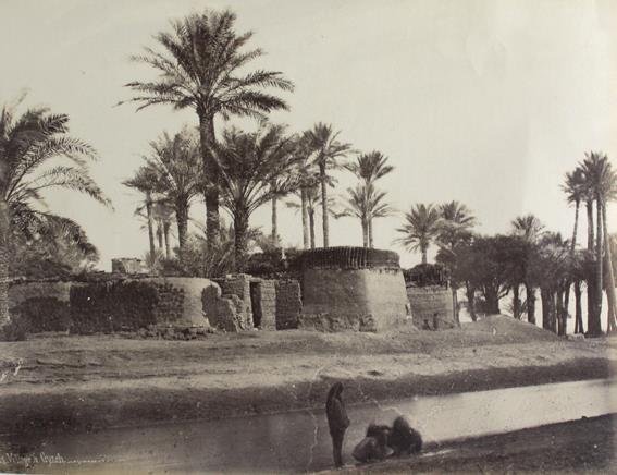 Konvolut | Bild Nr.1