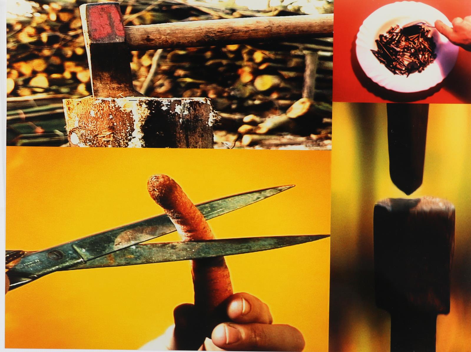 Noldus, Cecile | Bild Nr.2