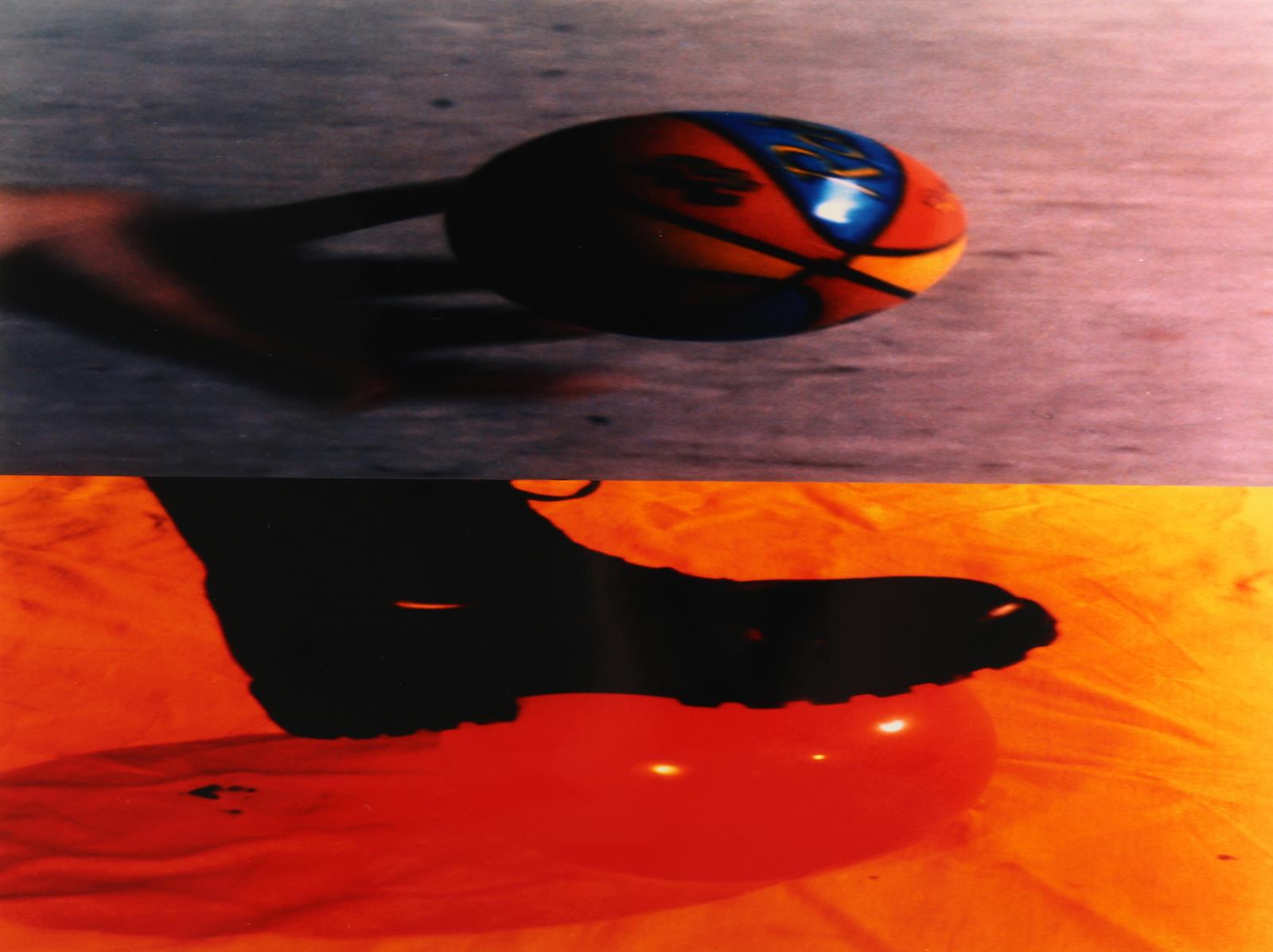 Noldus, Cecile | Bild Nr.4