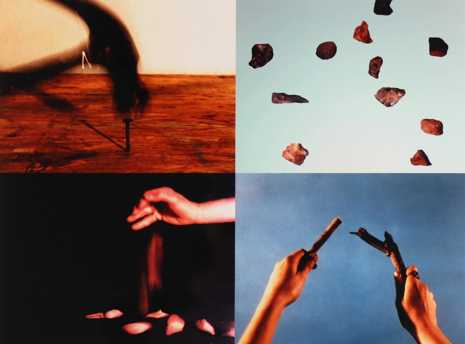 Noldus, Cecile | Bild Nr.5