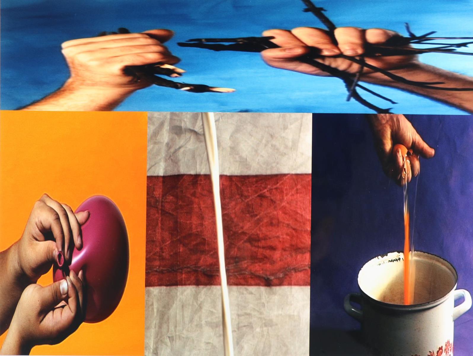 Noldus, Cecile | Bild Nr.6