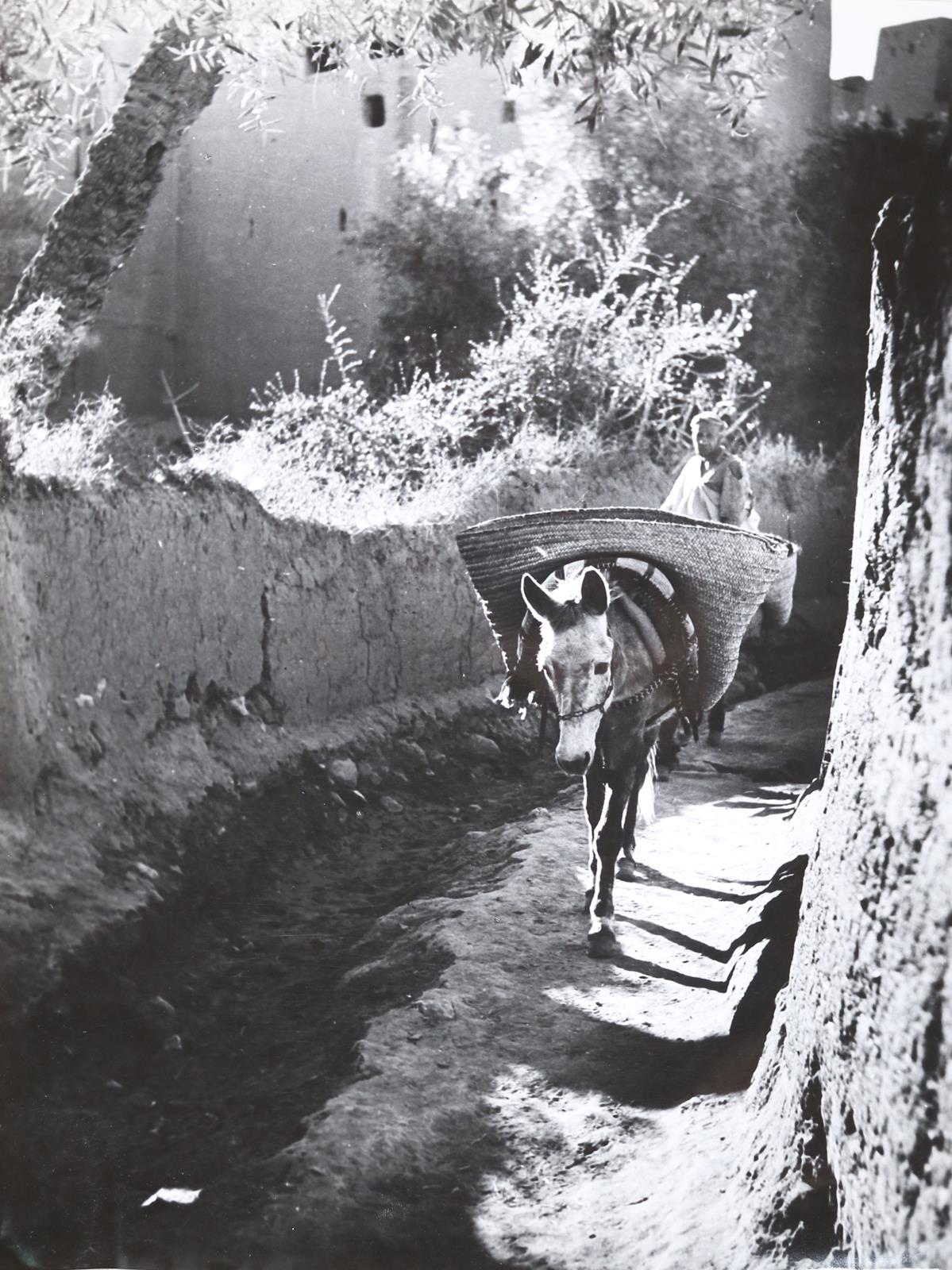 Rouget, Bernard | Bild Nr.1