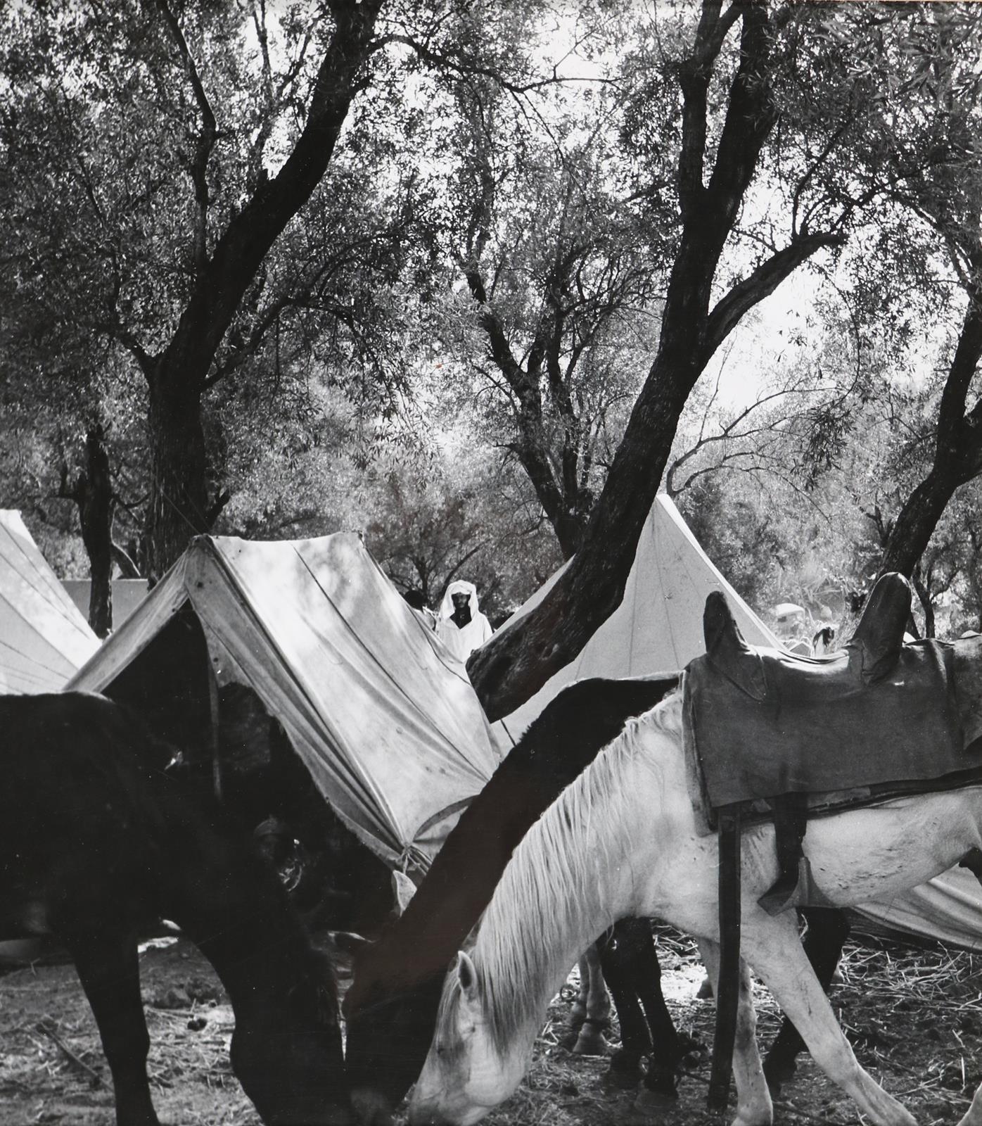 Rouget, Bernard | Bild Nr.6