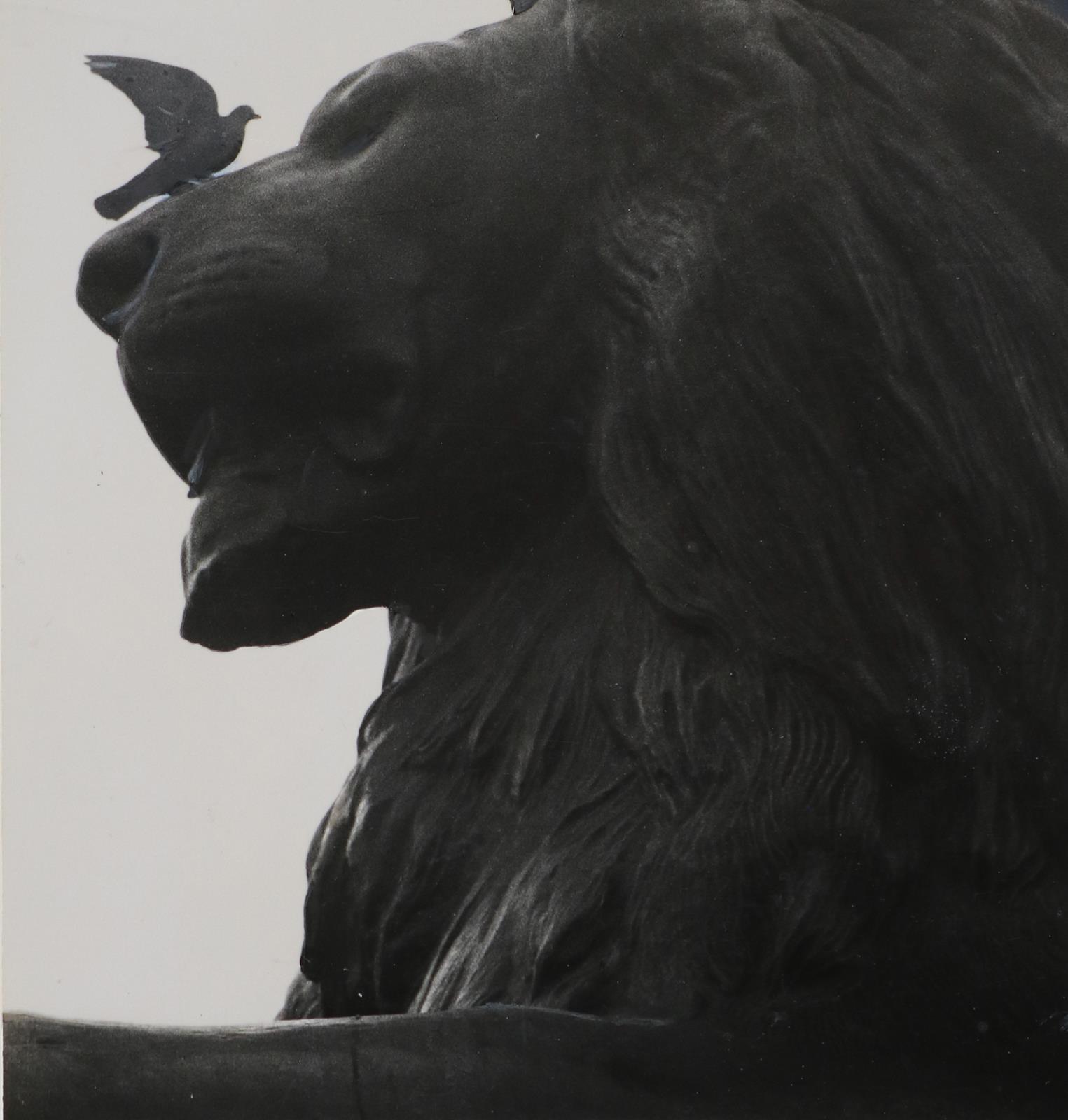 Sammlung | Bild Nr.2