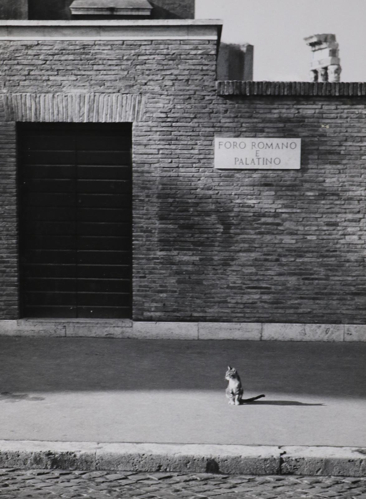 Sammlung | Bild Nr.5