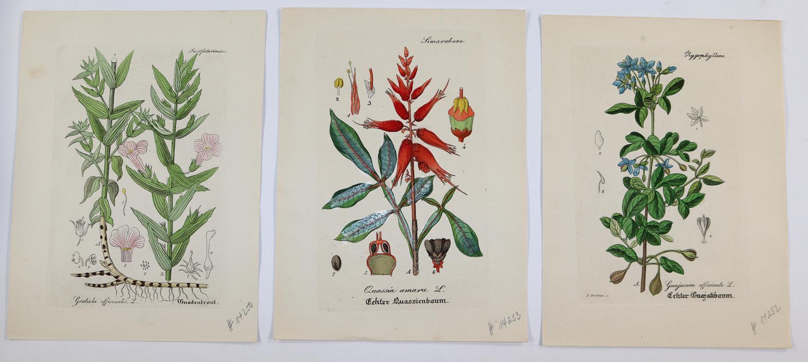 Artus, Wilibald. | Bild Nr.1