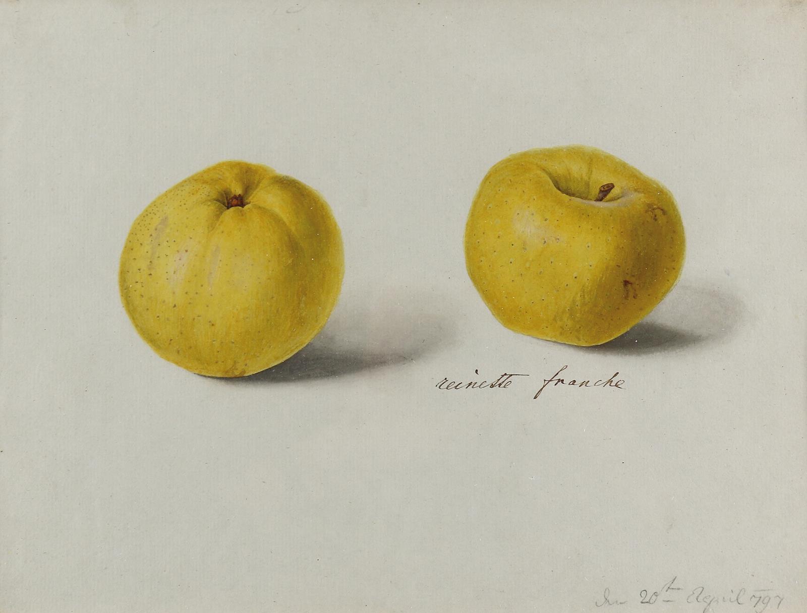 Blaschek,Franz. | Bild Nr.1