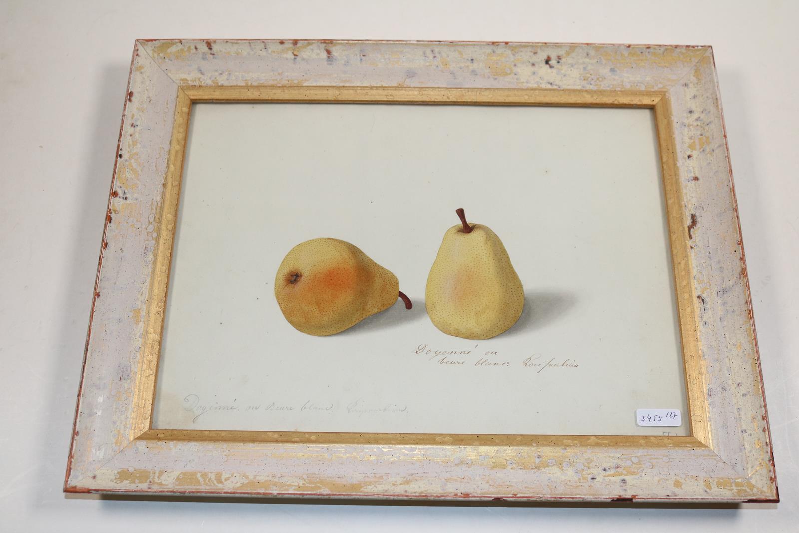 Blaschek,Franz. | Bild Nr.11