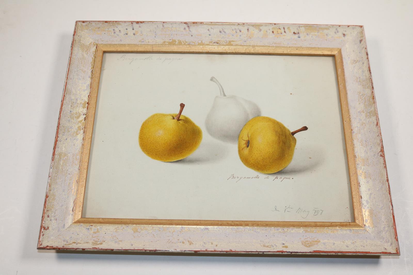 Blaschek,Franz. | Bild Nr.12