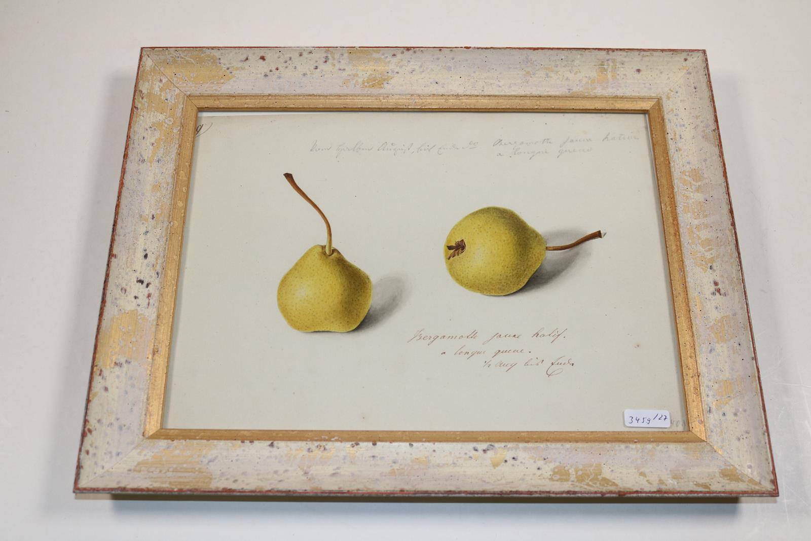 Blaschek,Franz. | Bild Nr.13