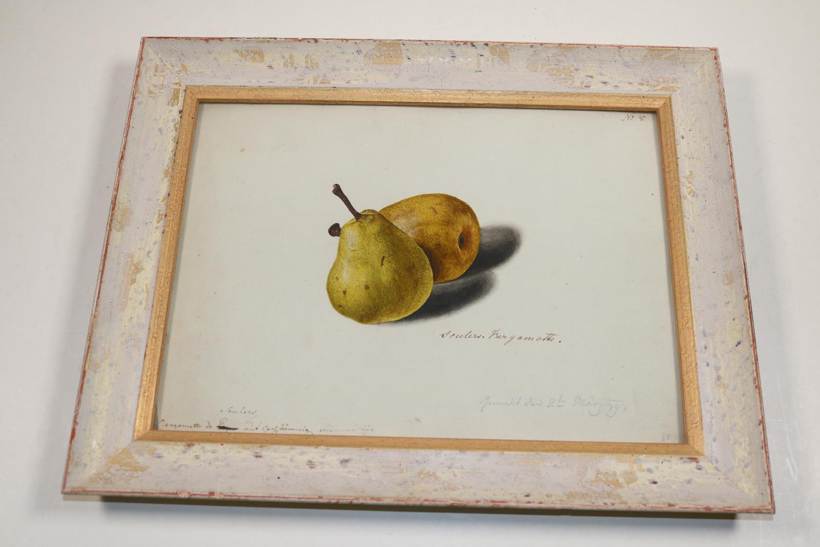 Blaschek,Franz. | Bild Nr.15