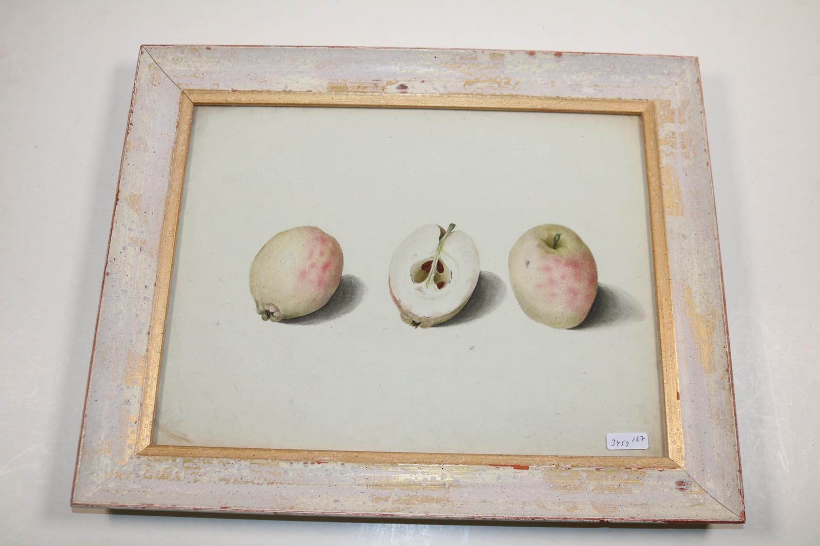 Blaschek,Franz. | Bild Nr.17