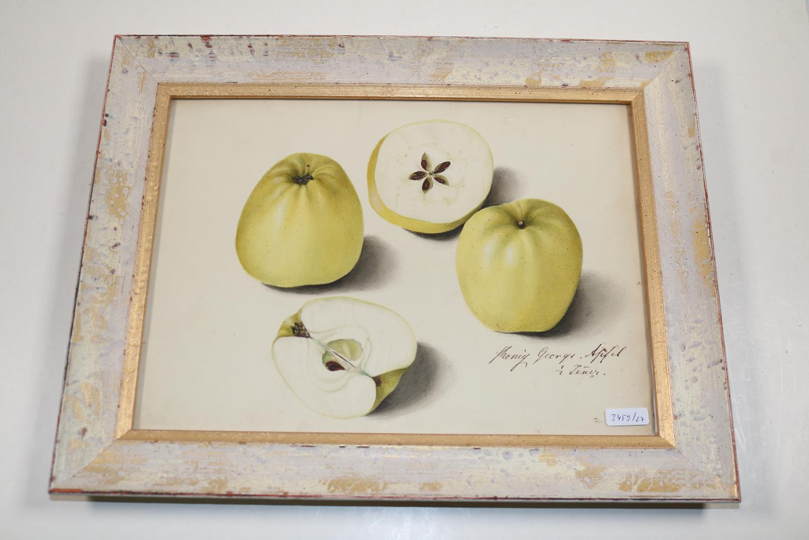 Blaschek,Franz. | Bild Nr.18