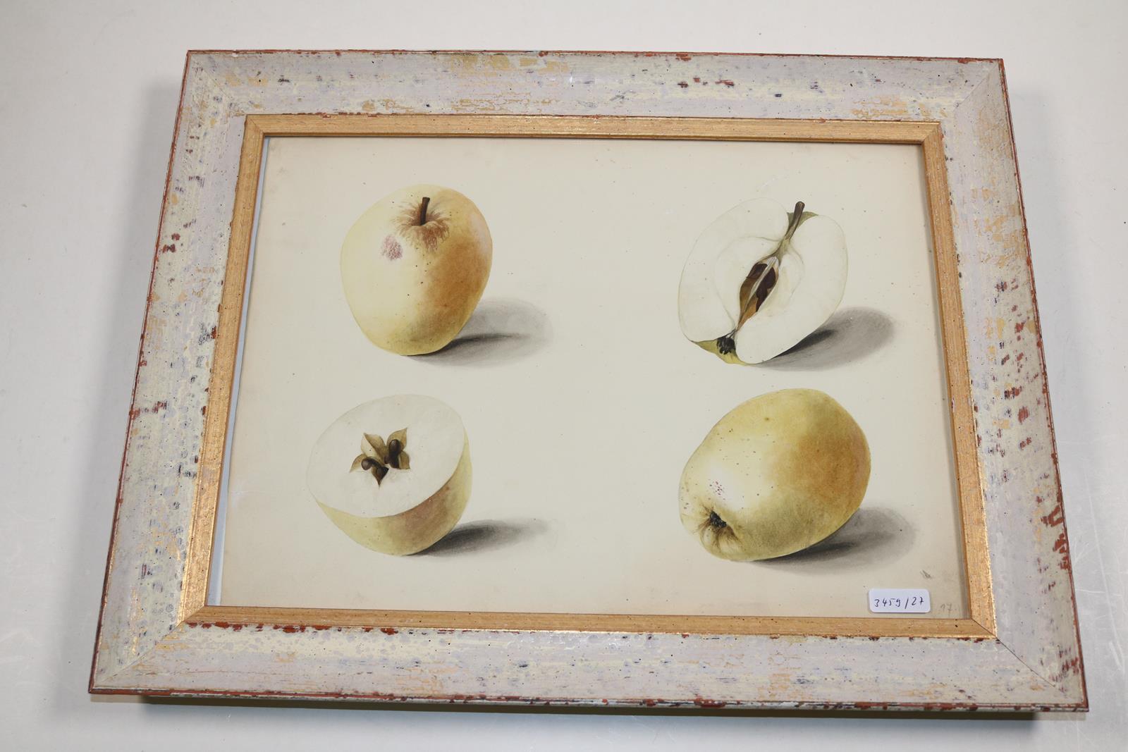 Blaschek,Franz. | Bild Nr.24