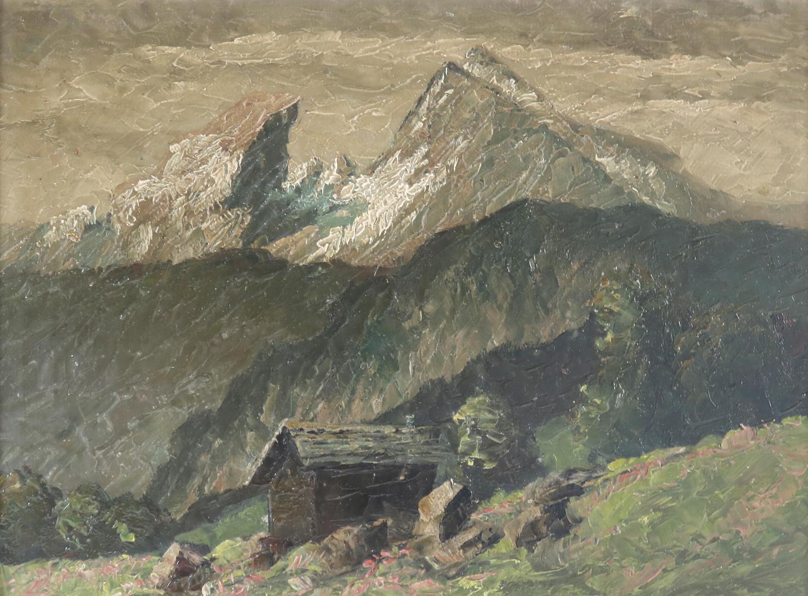 Sonnenblumen u. Mohn. | Bild Nr.7