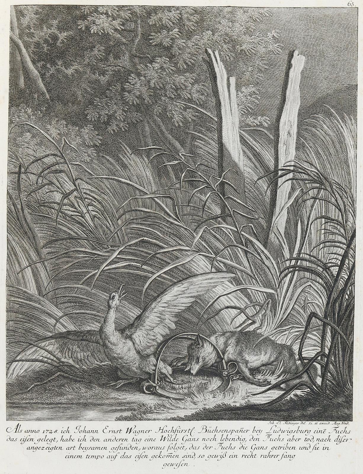 Ridinger,E.J. | Bild Nr.1