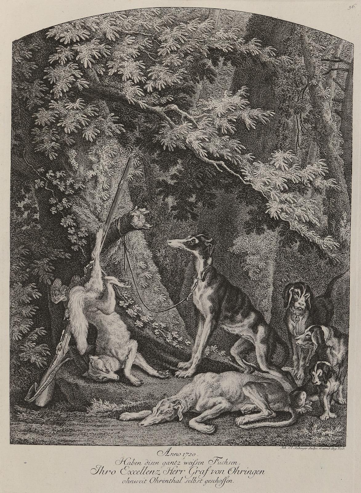 Ridinger,E.J. | Bild Nr.1