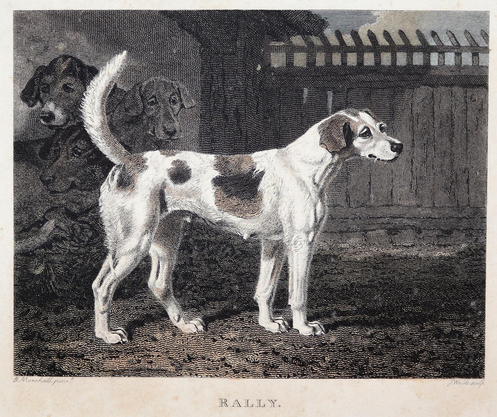 Konvolut. | Bild Nr.1