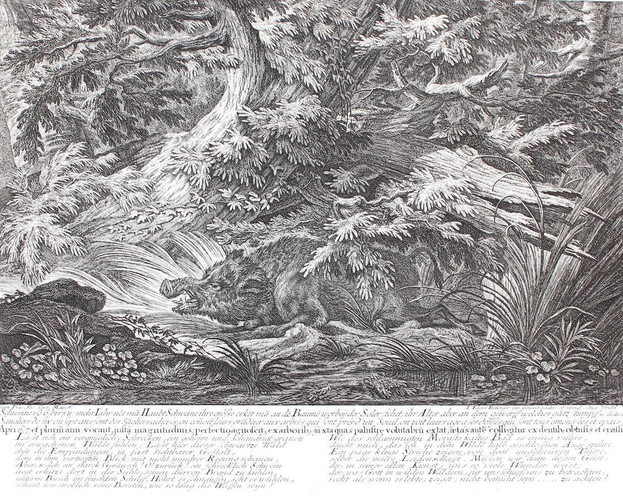 Jagdkunst. | Bild Nr.4