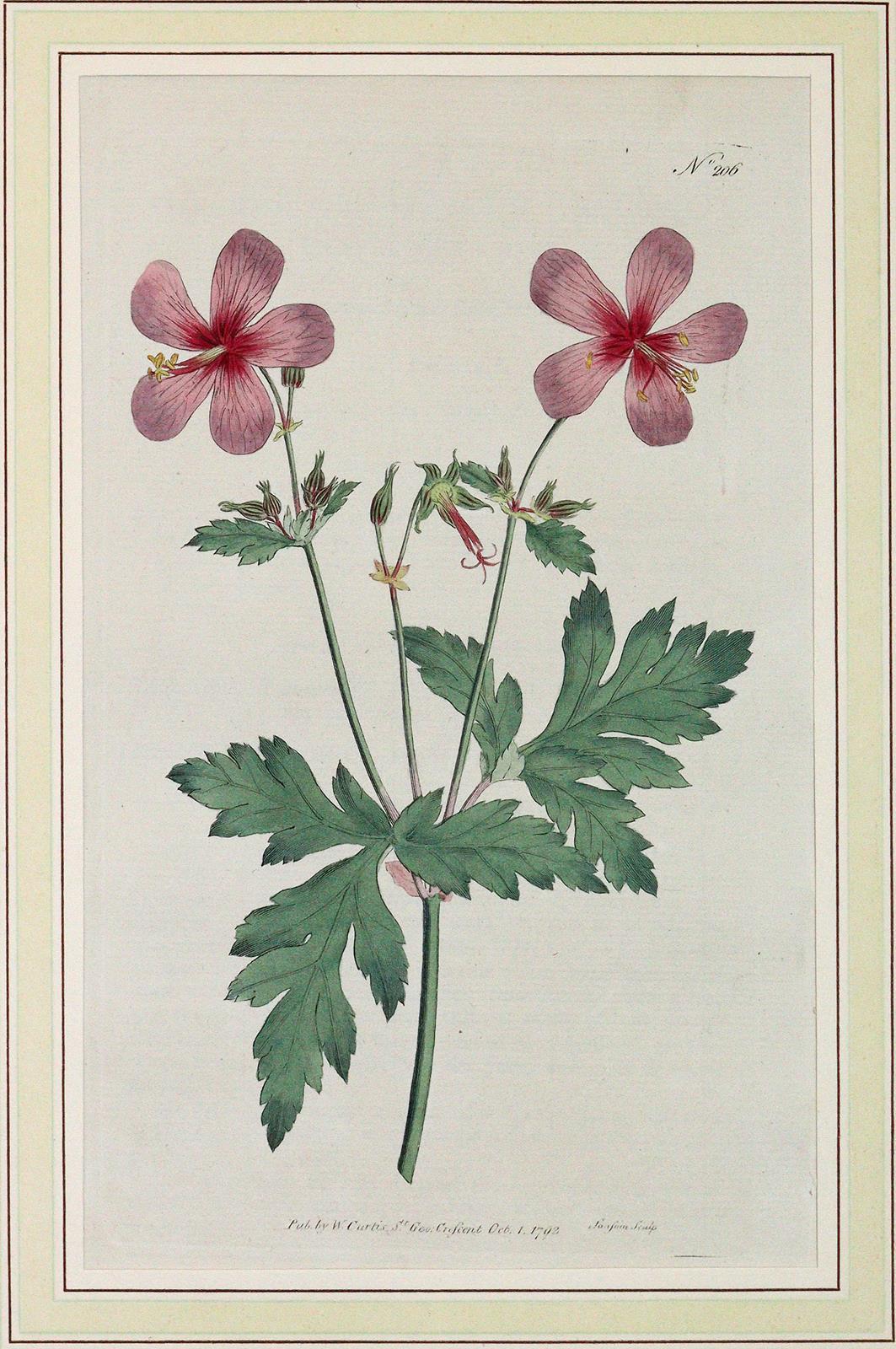 Konvolut | Bild Nr.2