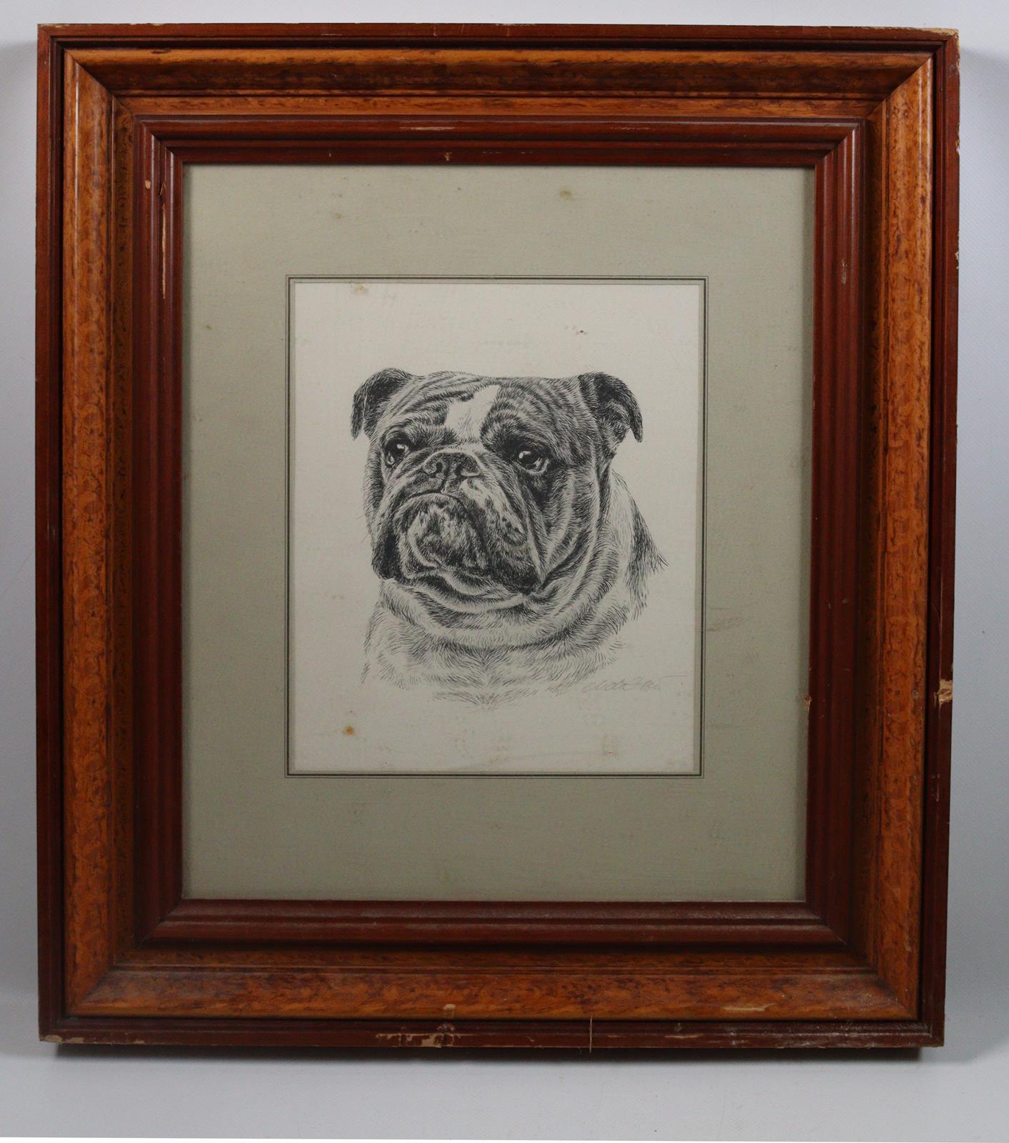 Mops und Bulldogge. | Bild Nr.2