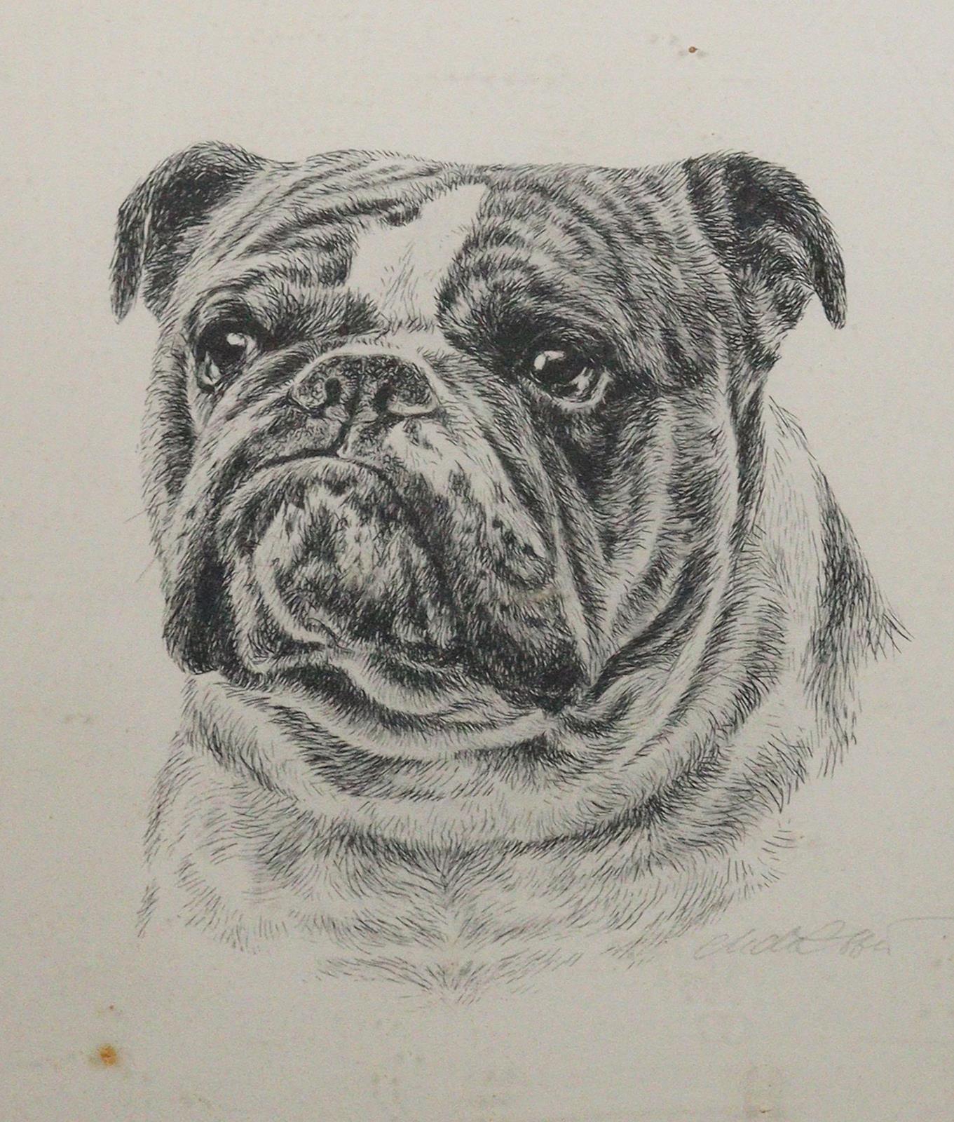 Mops und Bulldogge. | Bild Nr.21