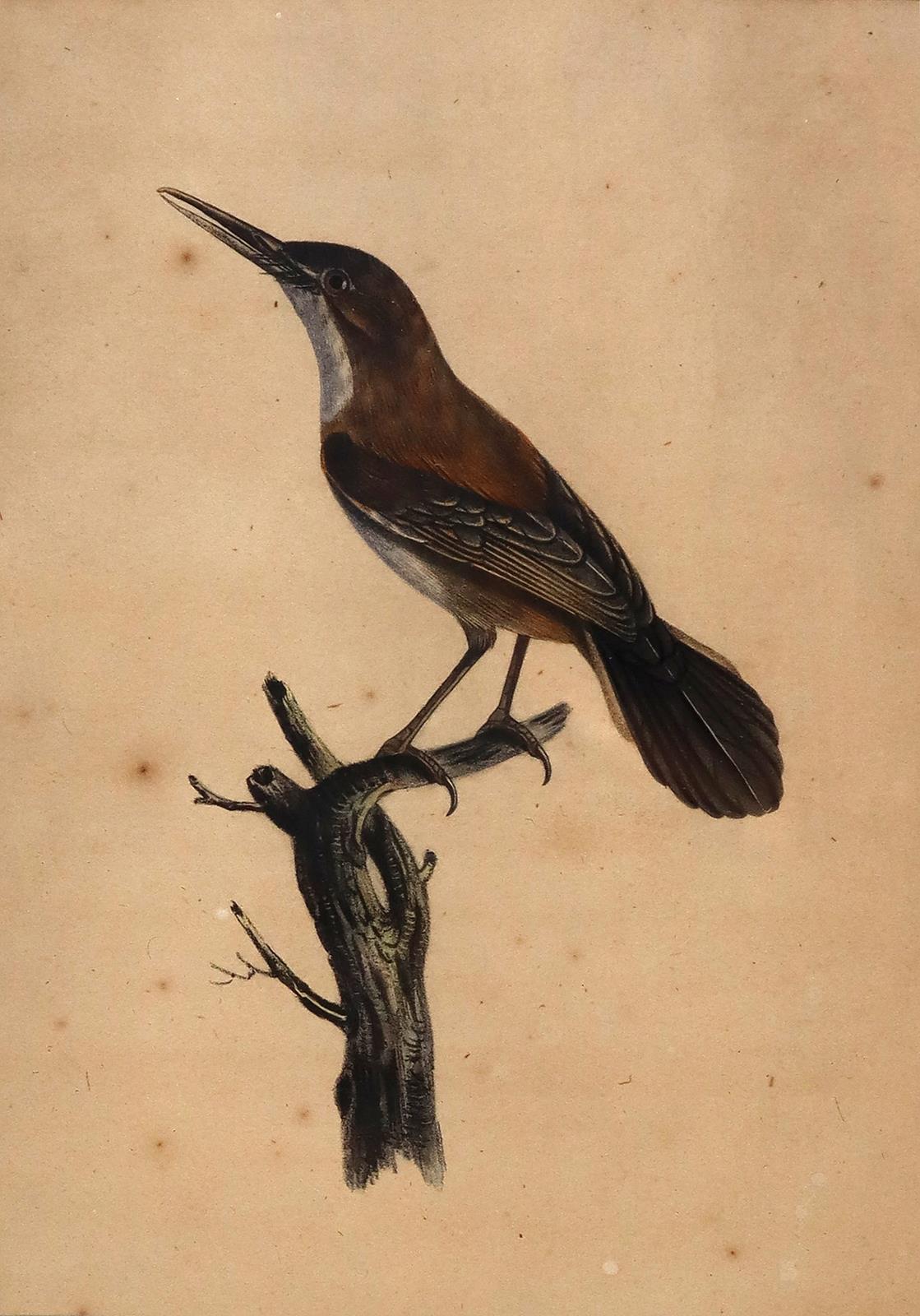 Konvolut. | Bild Nr.1