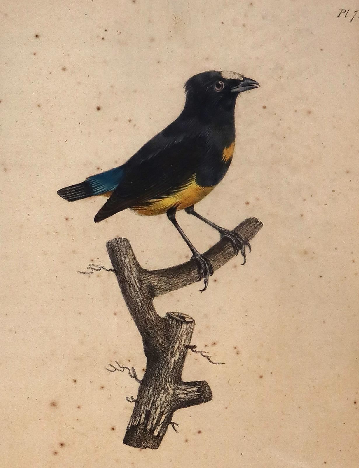 Konvolut. | Bild Nr.4