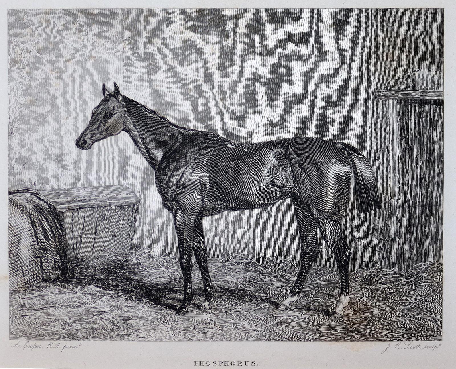 Harris, James | Bild Nr.2