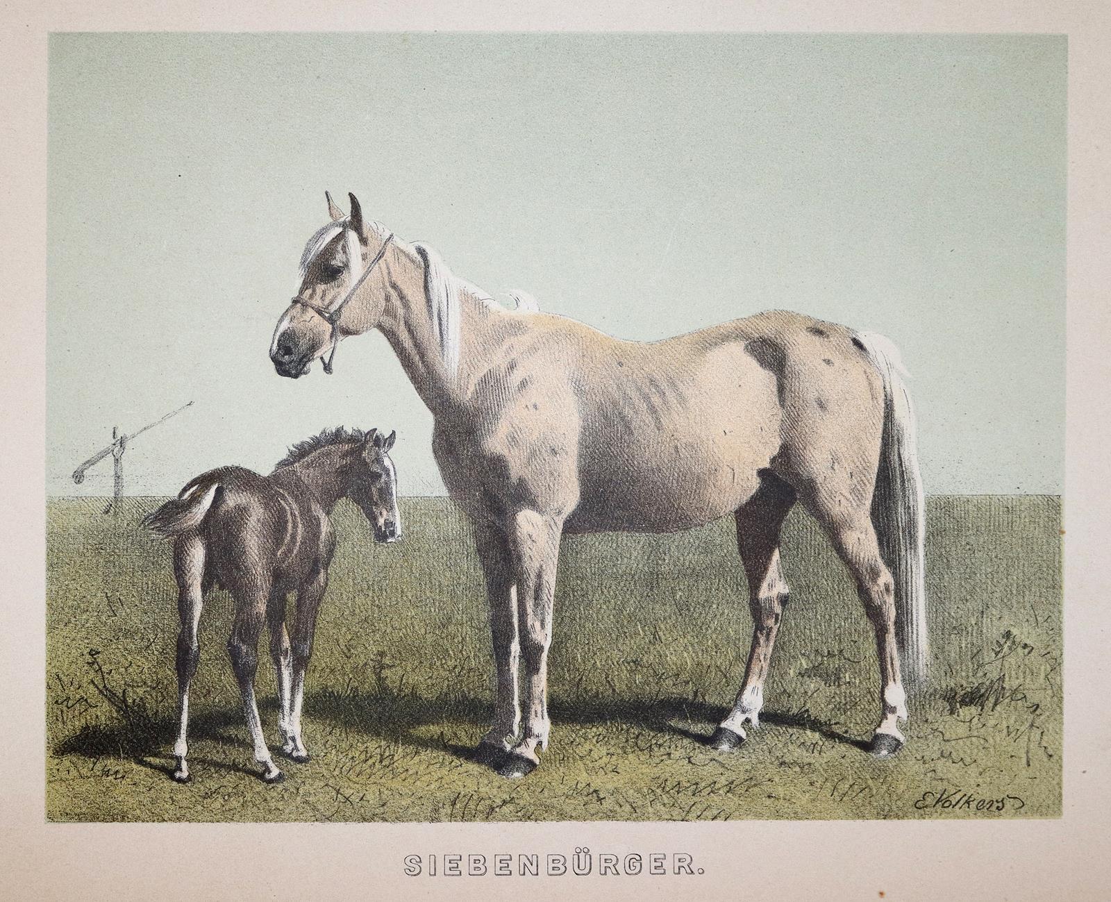 Konvolut. | Bild Nr.2