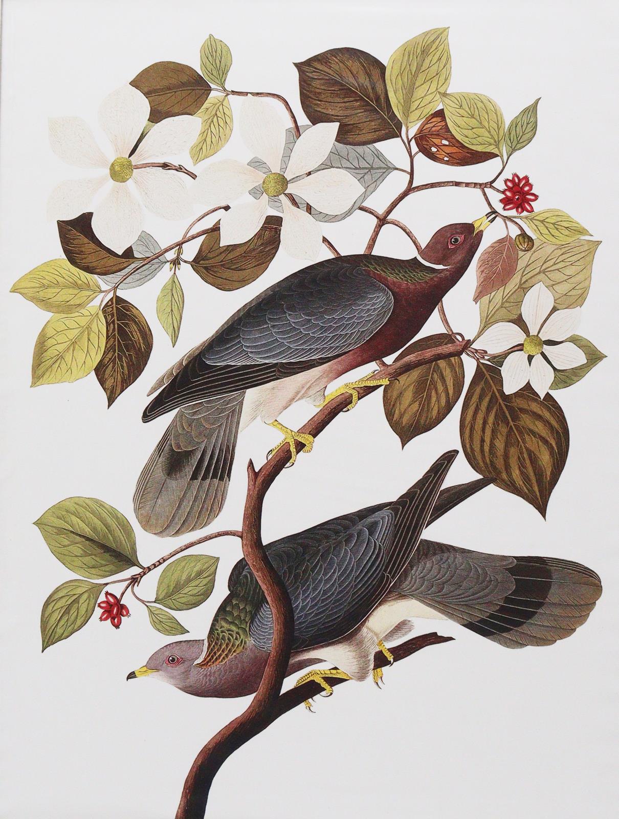 Konvolut | Bild Nr.5