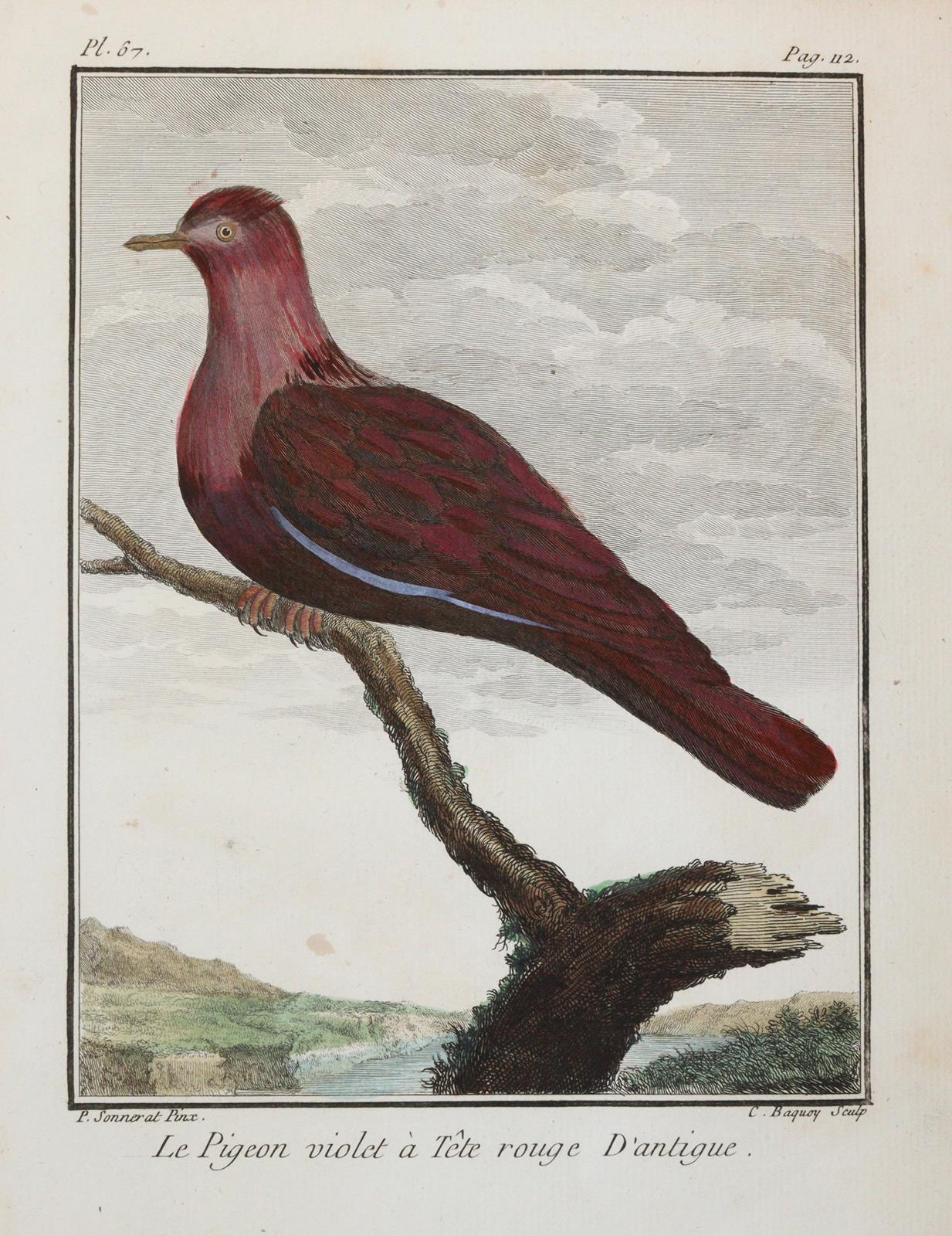 Konvolut | Bild Nr.6