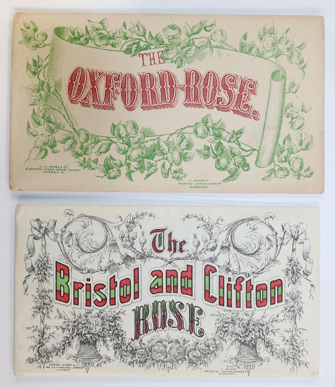 Souvenirrose | Bild Nr.4