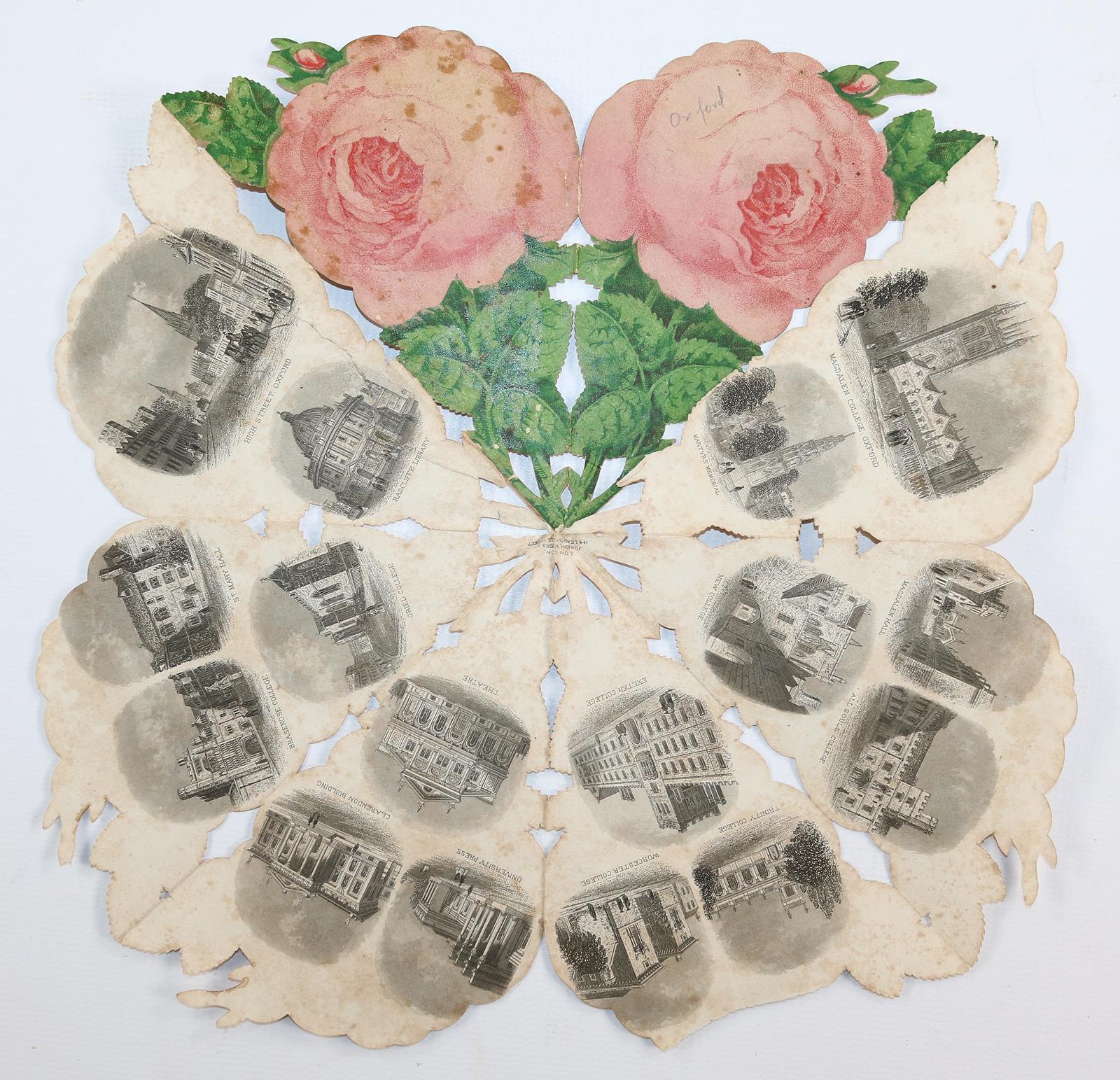 Souvenirrose | Bild Nr.5