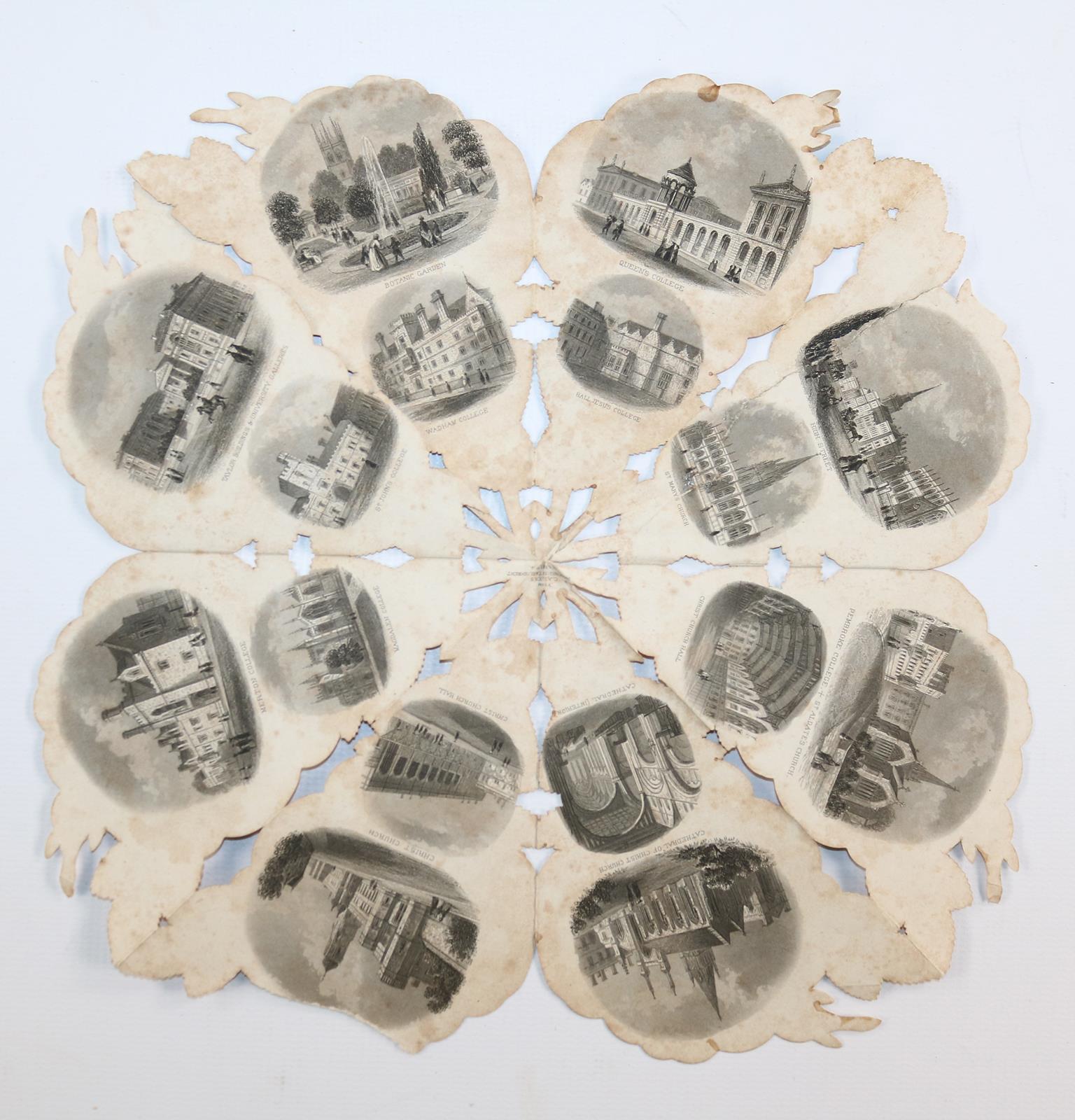 Souvenirrose | Bild Nr.6