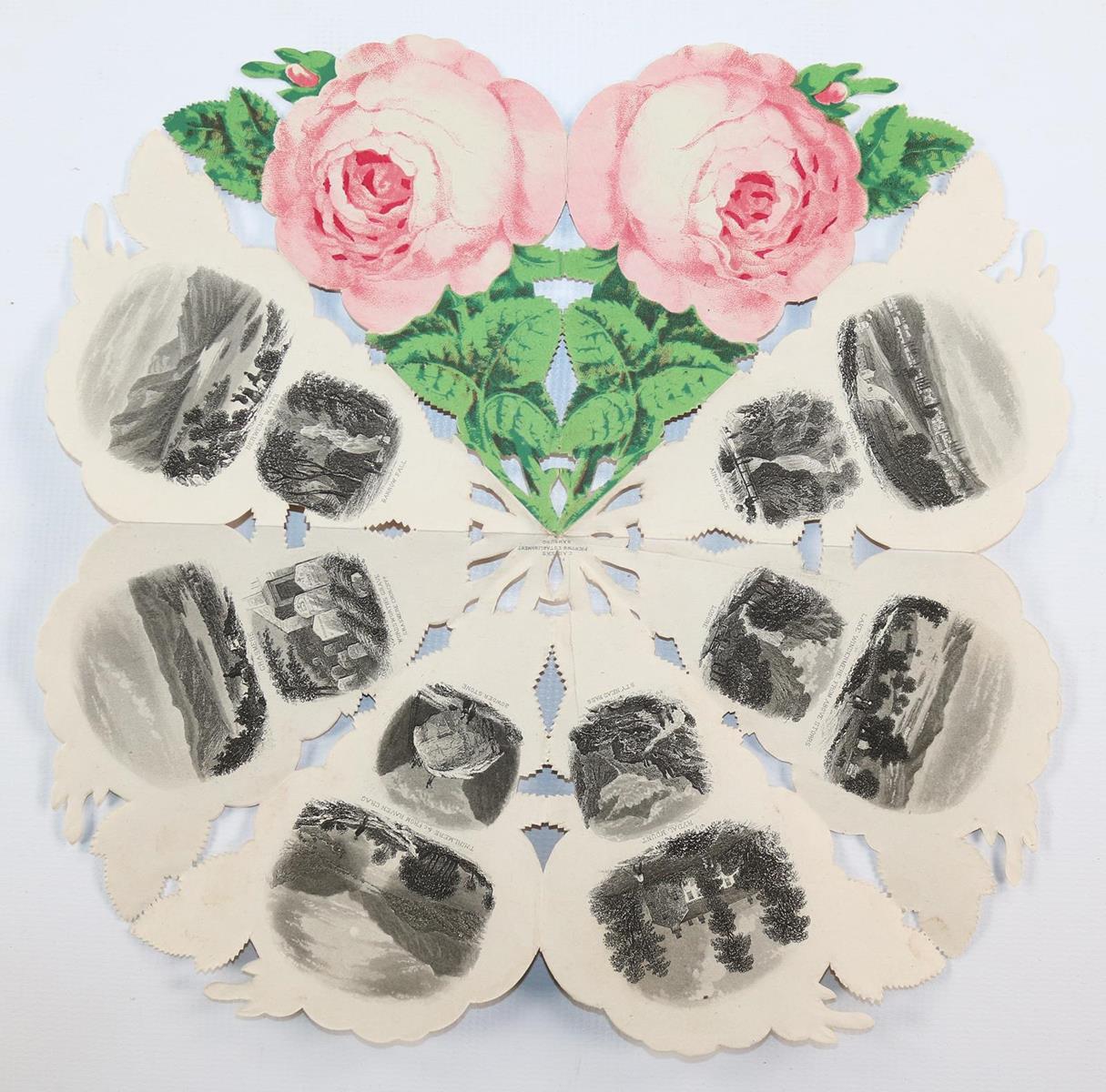 Souvenirrose | Bild Nr.1