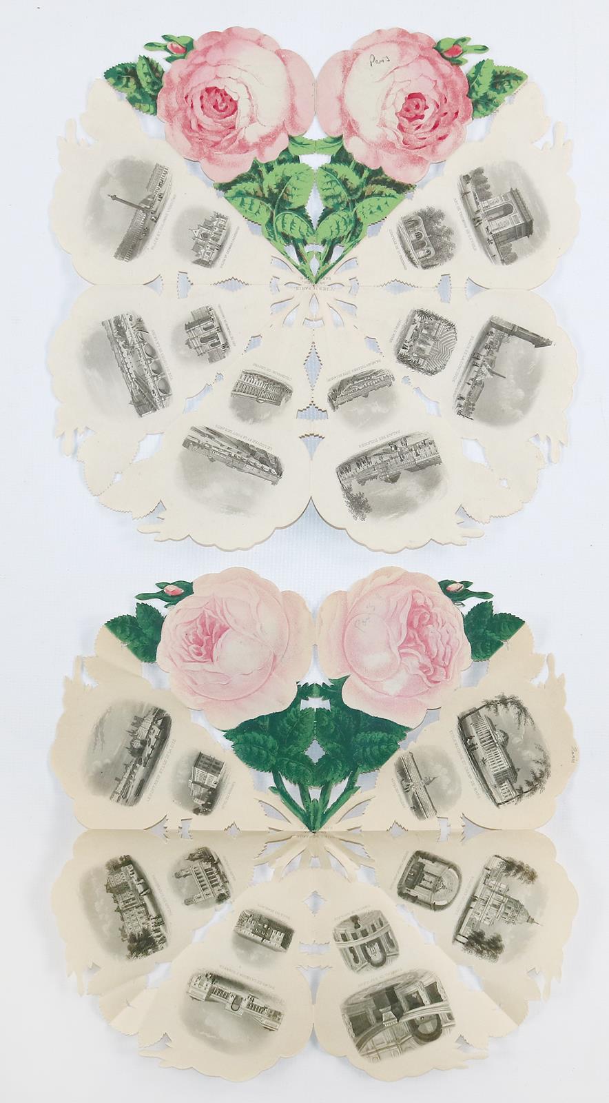 Souvenirrose | Bild Nr.1