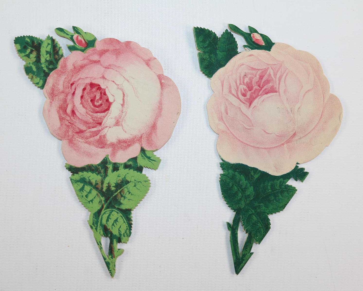 Souvenirrose | Bild Nr.4