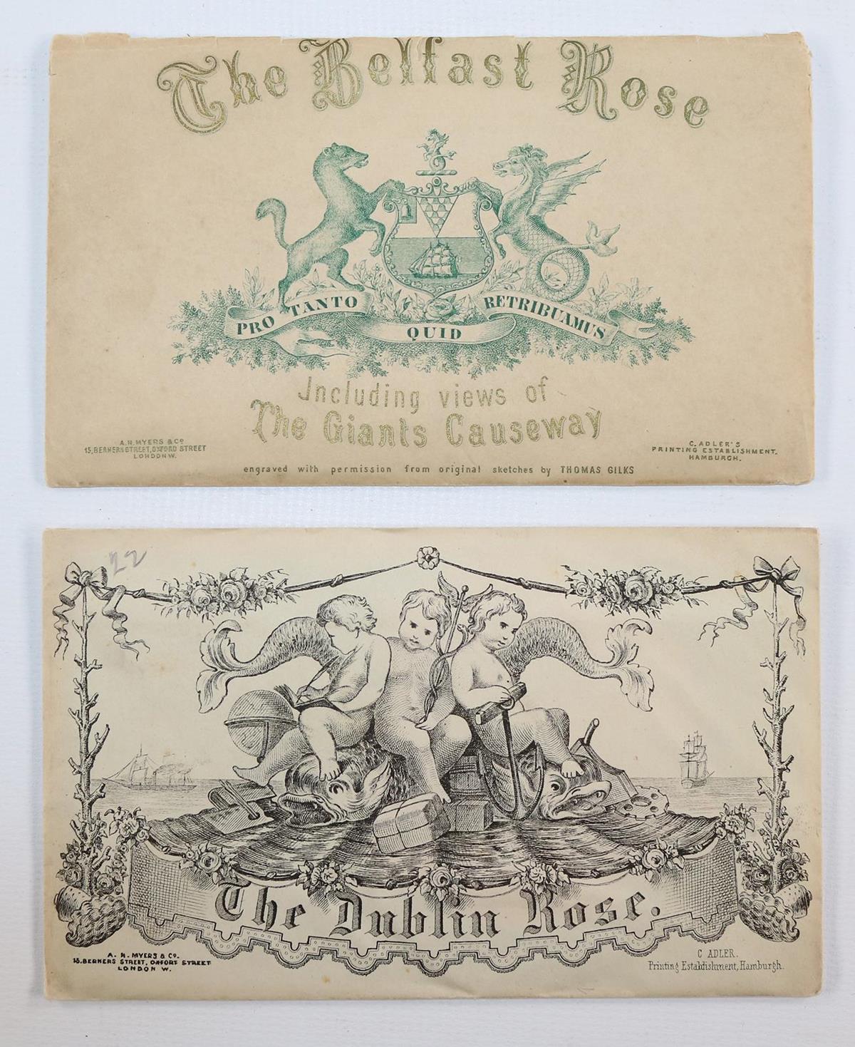 Souvenirrosen. | Bild Nr.3