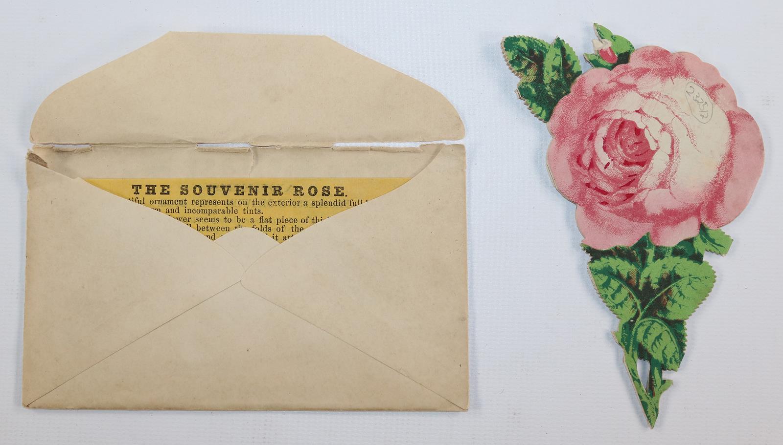 Souvenirrosen. | Bild Nr.4