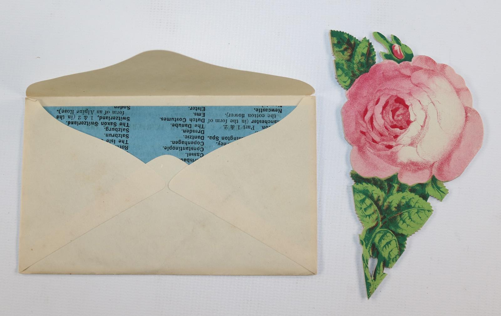 Souvenirrosen. | Bild Nr.7