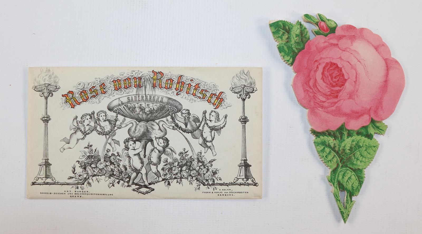 Souvenirrose | Bild Nr.5