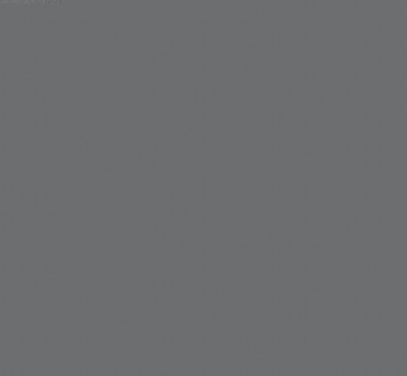 Fauquex, Eugene Ludwig | Bild Nr.13