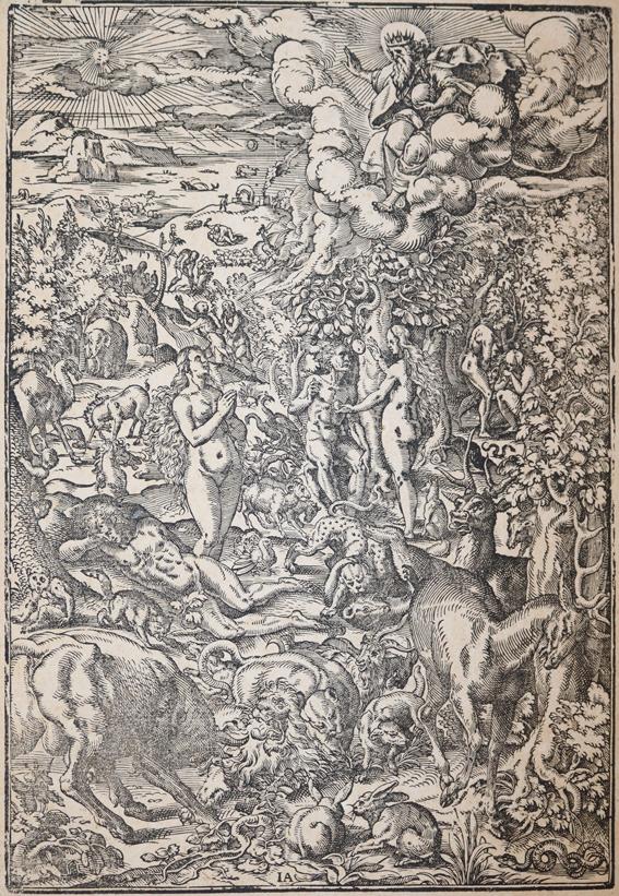 Amman, Jost | Bild Nr.1