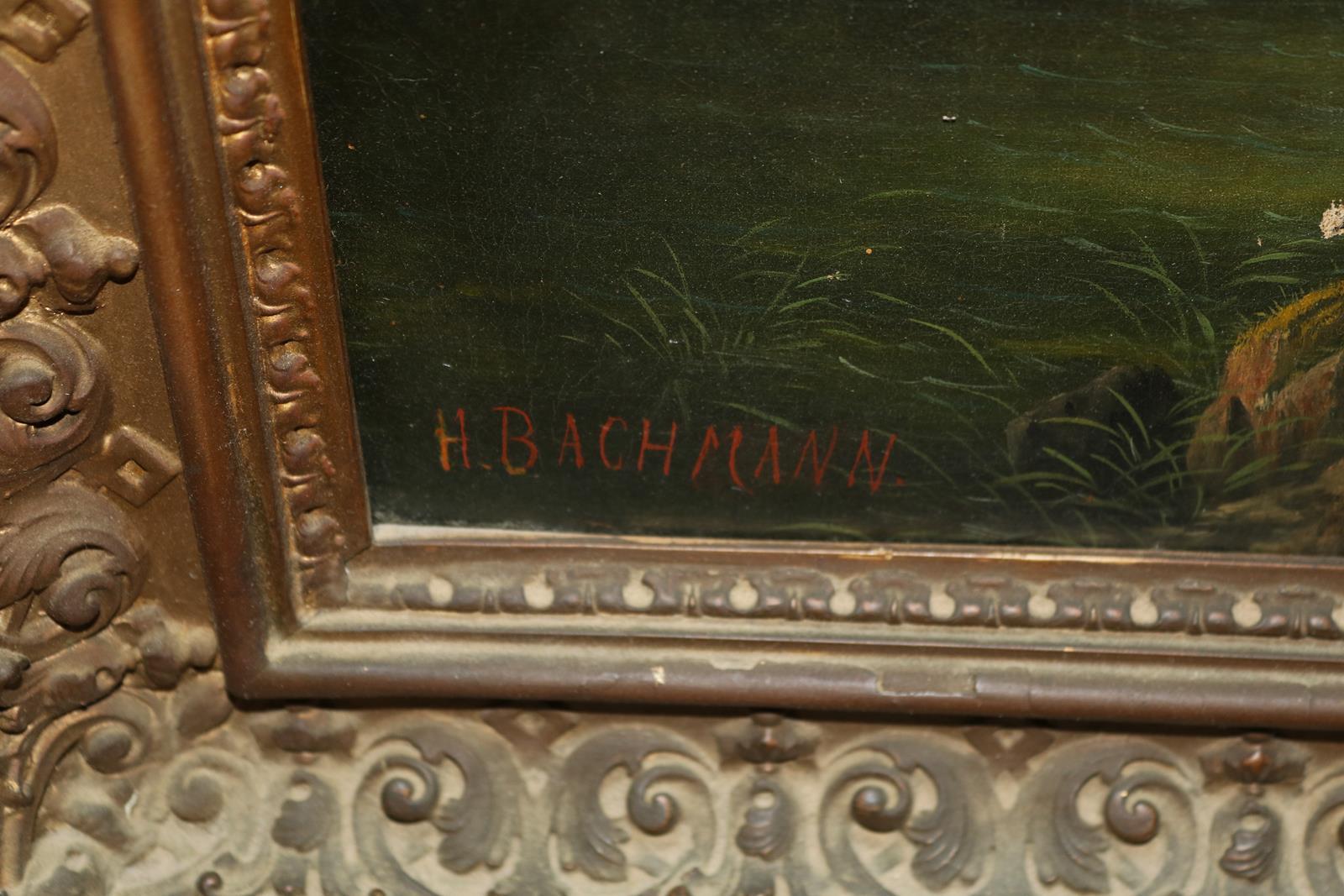 Bachmann, H. | Bild Nr.2