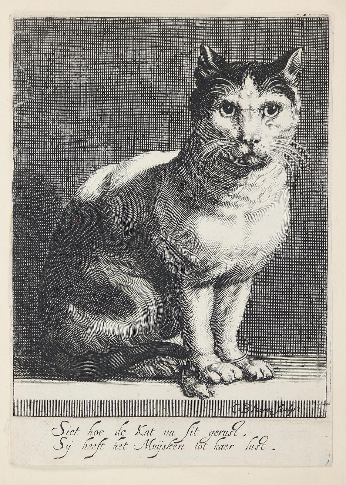 Bloemart II., Cornelis, | Bild Nr.1