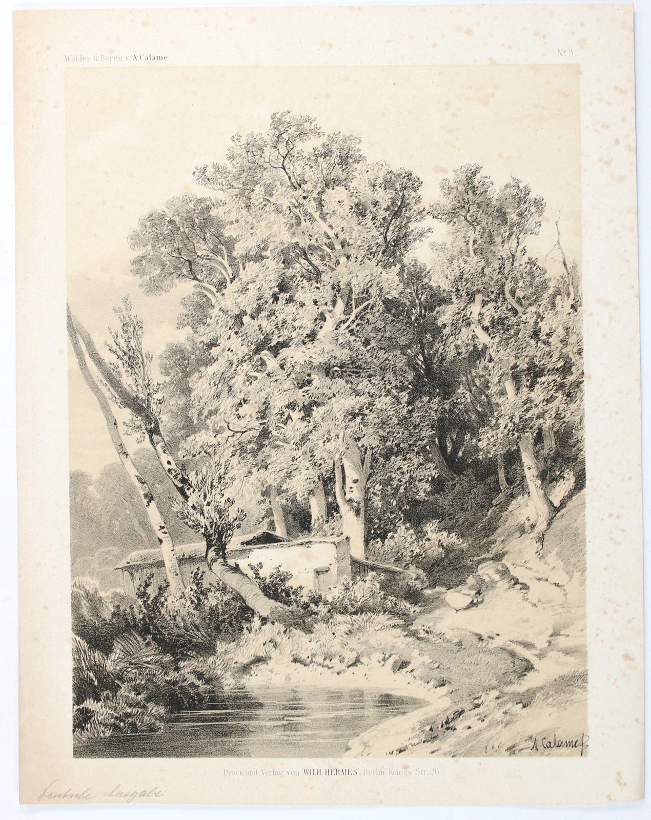 Calame, Alexandre | Bild Nr.1